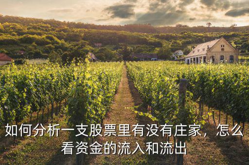 如何分析一支股票里有沒有莊家，怎么看資金的流入和流出
