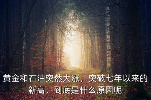 黃金和石油突然大漲，突破七年以來的新高，到底是什么原因呢