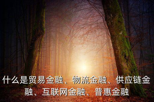 農業(yè)供應鏈金融是什么,什么是貿易金融