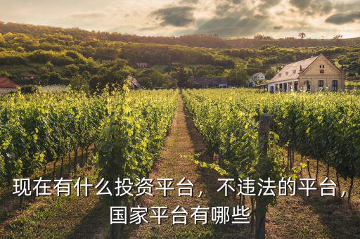 現(xiàn)在有什么投資平臺，不違法的平臺，國家平臺有哪些