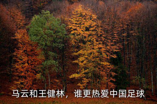 馬云和王健林，誰更熱愛中國足球