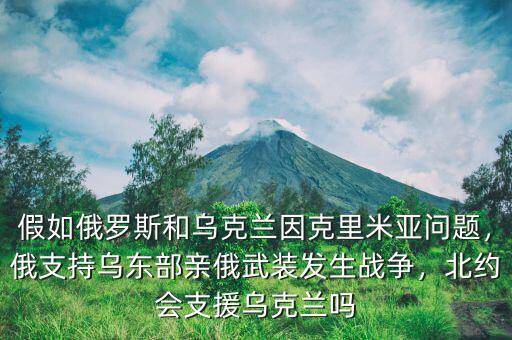 假如俄羅斯和烏克蘭因克里米亞問題，俄支持烏東部親俄武裝發(fā)生戰(zhàn)爭，北約會支援烏克蘭嗎