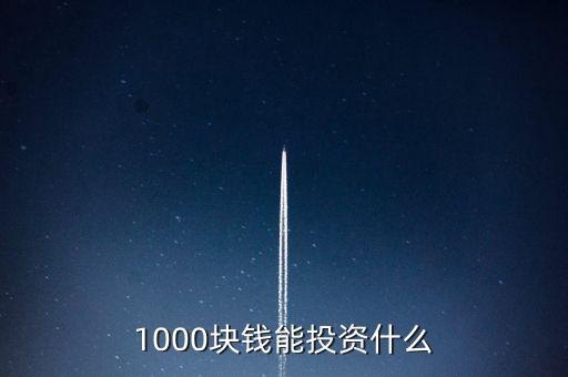 怎么用1000塊錢投資,一萬(wàn)元開始投資理財(cái)