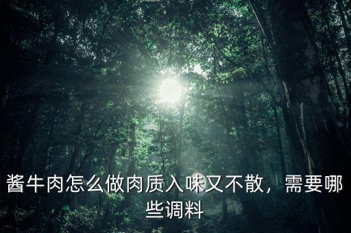 醬牛肉怎么做肉質(zhì)入味又不散，需要哪些調(diào)料
