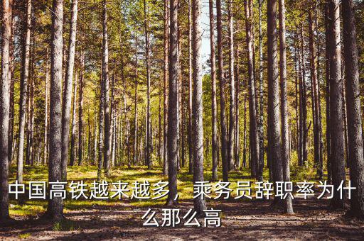 中國高鐵越來越多，乘務(wù)員辭職率為什么那么高