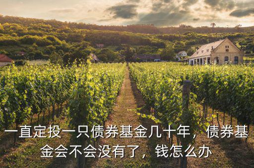 一直定投一只債券基金幾十年，債券基金會不會沒有了，錢怎么辦