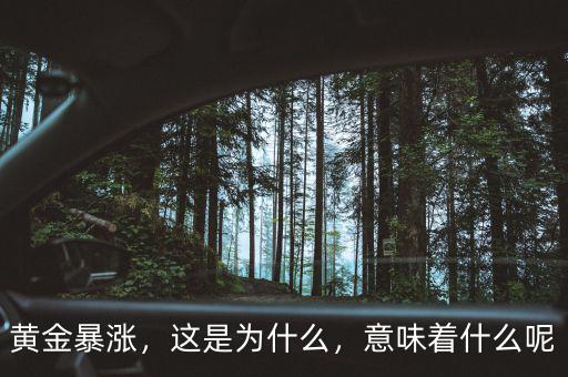 黃金暴漲，這是為什么，意味著什么呢