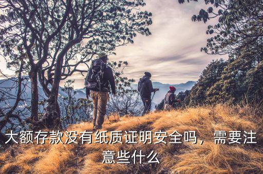 大額存款沒有紙質(zhì)證明安全嗎，需要注意些什么