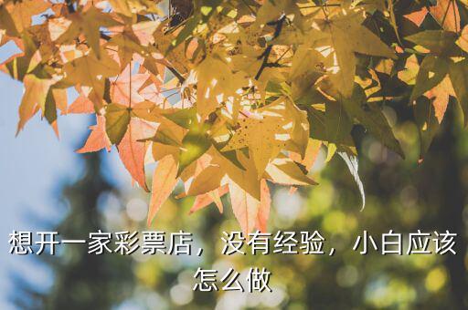 想開一家彩票店，沒有經(jīng)驗(yàn)，小白應(yīng)該怎么做