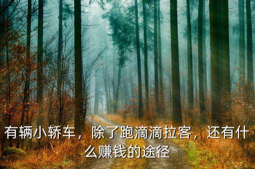 有輛小轎車，除了跑滴滴拉客，還有什么賺錢的途徑