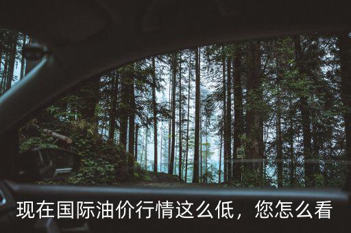 國際油價(jià)為什么這么低,國際油價(jià)這么低