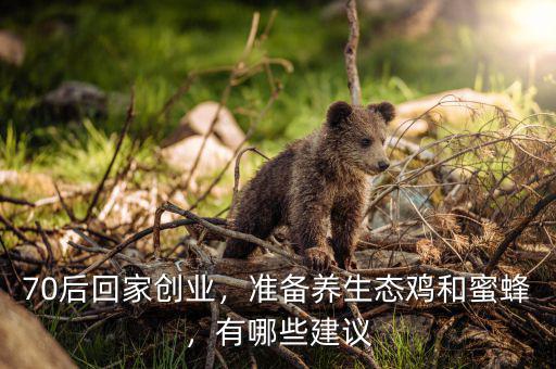 70后回家創(chuàng)業(yè)，準(zhǔn)備養(yǎng)生態(tài)雞和蜜蜂，有哪些建議