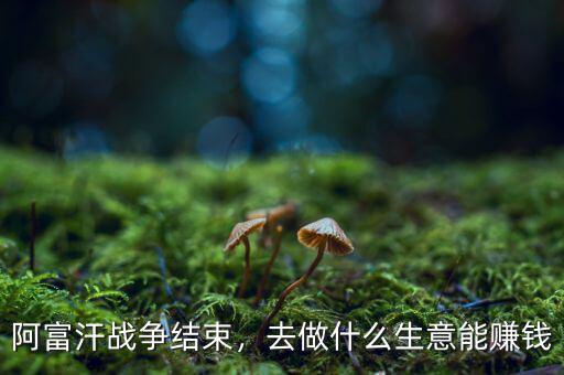 阿富汗戰(zhàn)爭結(jié)束，去做什么生意能賺錢