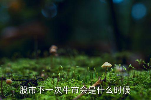 股票牛市是什么時(shí)候,股市下一次牛市會是什么時(shí)候