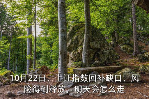 10月22日，上證指數(shù)回補缺口，風(fēng)險得到釋放，明天會怎么走