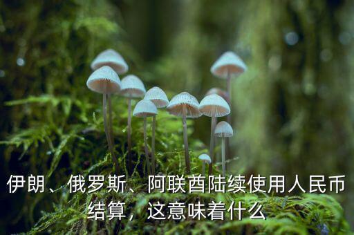 伊朗、俄羅斯、阿聯(lián)酋陸續(xù)使用人民幣結算，這意味著什么