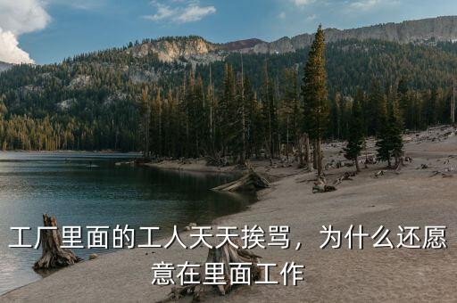 工廠里面的工人天天挨罵，為什么還愿意在里面工作