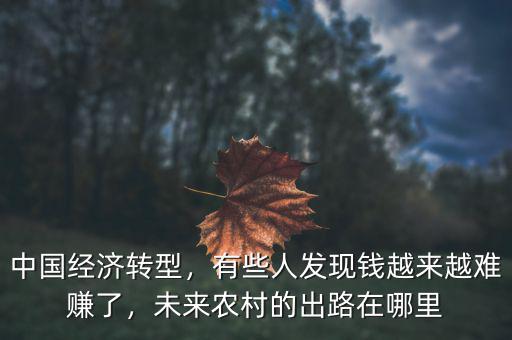 中國經濟轉型，有些人發(fā)現錢越來越難賺了，未來農村的出路在哪里