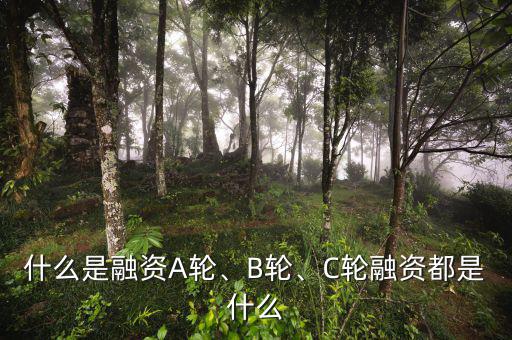 什么是融資A輪、B輪、C輪融資都是什么