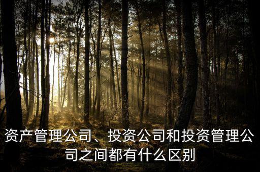 資產(chǎn)管理公司、投資公司和投資管理公司之間都有什么區(qū)別