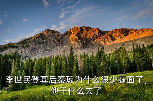 李世民登基后秦瓊為什么很少露面了，他干什么去了