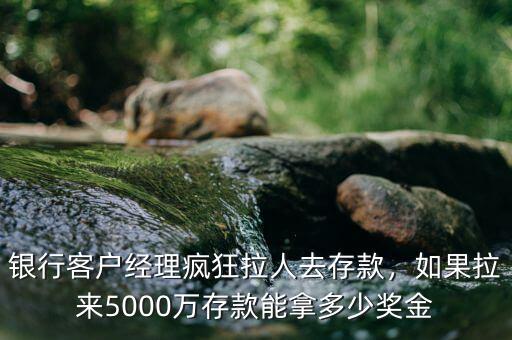 銀行客戶經(jīng)理瘋狂拉人去存款，如果拉來5000萬存款能拿多少獎金