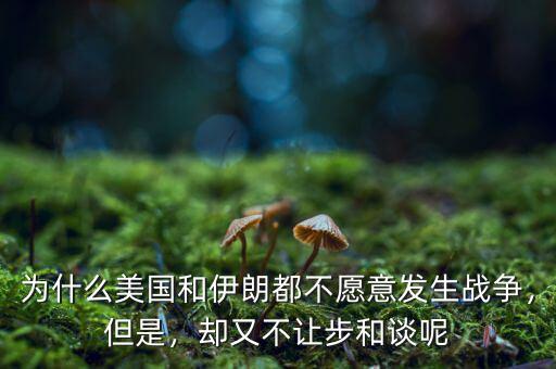 為什么美國和伊朗都不愿意發(fā)生戰(zhàn)爭，但是，卻又不讓步和談呢