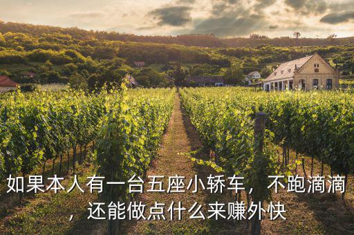 如果本人有一臺(tái)五座小轎車(chē)，不跑滴滴，還能做點(diǎn)什么來(lái)賺外快