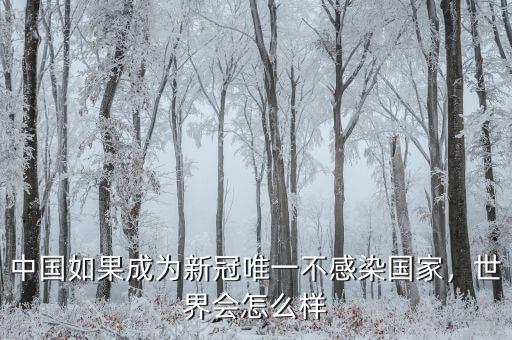 中國如果成為新冠唯一不感染國家，世界會怎么樣