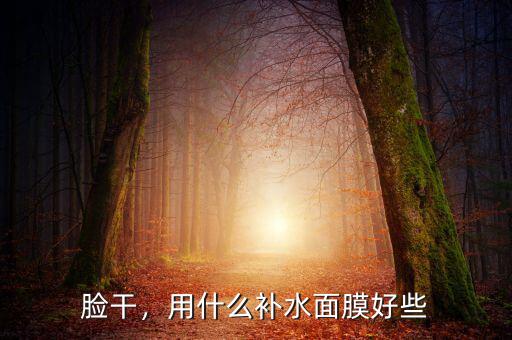臉干，用什么補(bǔ)水面膜好些