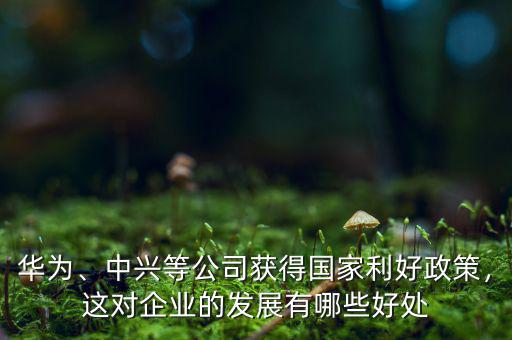 中華企業(yè)有什么利好,中國獨(dú)角獸企業(yè)有哪些