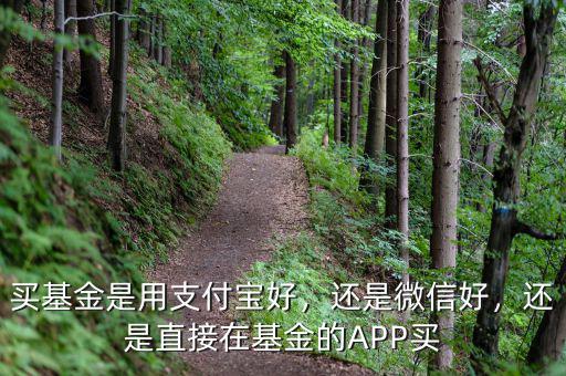 買基金是用支付寶好，還是微信好，還是直接在基金的APP買