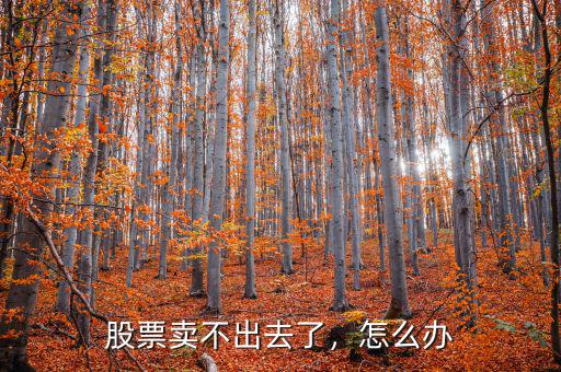 股票賣不出去了，怎么辦