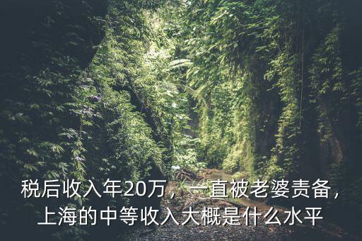 稅后收入年20萬，一直被老婆責備，上海的中等收入大概是什么水平