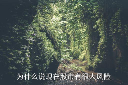 為什么說現(xiàn)在股市有很大風(fēng)險