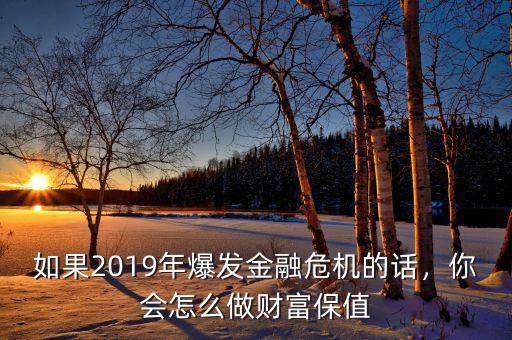 如果2019年爆發(fā)金融危機(jī)的話，你會(huì)怎么做財(cái)富保值