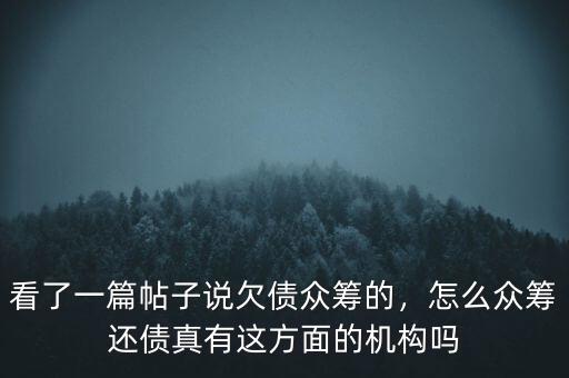 看了一篇帖子說欠債眾籌的，怎么眾籌還債真有這方面的機(jī)構(gòu)嗎