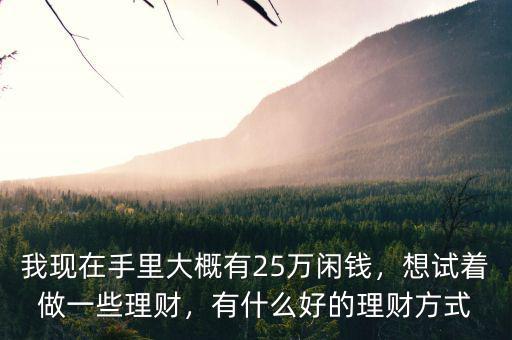 我現(xiàn)在手里大概有25萬閑錢，想試著做一些理財，有什么好的理財方式