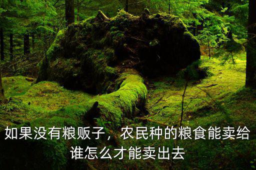 如果沒有糧販子，農(nóng)民種的糧食能賣給誰(shuí)怎么才能賣出去