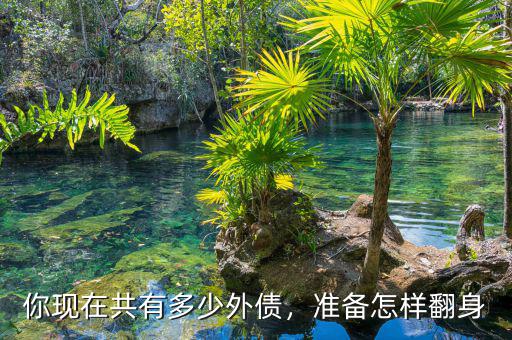 你現(xiàn)在共有多少外債，準備怎樣翻身