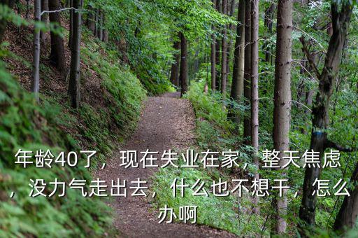 年齡40了，現(xiàn)在失業(yè)在家，整天焦慮，沒力氣走出去，什么也不想干，怎么辦啊