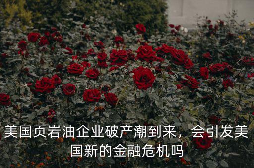 美國頁巖油企業(yè)破產(chǎn)潮到來，會引發(fā)美國新的金融危機嗎