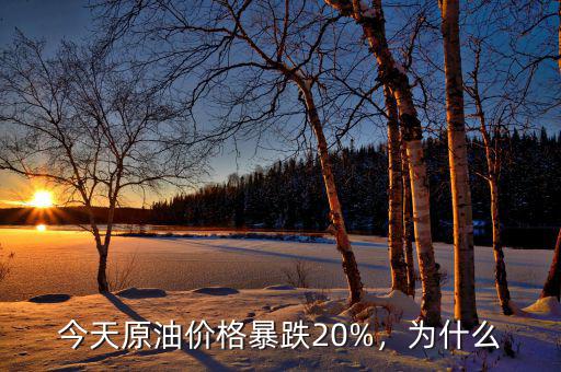今天原油價格暴跌20%，為什么
