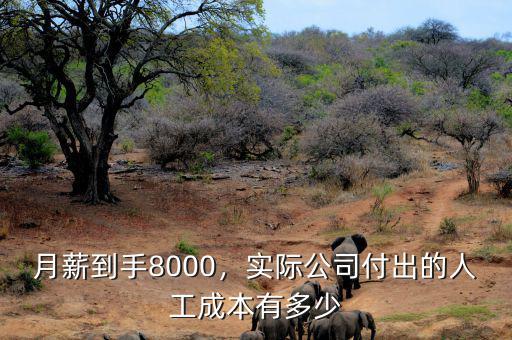月薪到手8000，實(shí)際公司付出的人工成本有多少