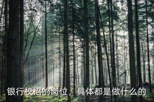 銀行校招的崗位，具體都是做什么的
