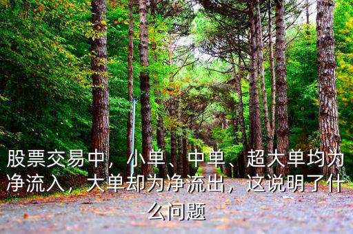 股票交易中，小單、中單、超大單均為凈流入，大單卻為凈流出，這說(shuō)明了什么問(wèn)題