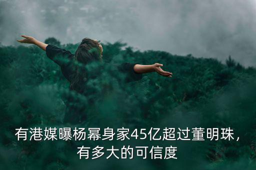 董明珠有多少錢(qián),董明珠再發(fā)格力手機(jī)