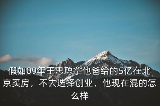 假如09年王思聰拿他爸給的5億在北京買房，不去選擇創(chuàng)業(yè)，他現(xiàn)在混的怎么樣