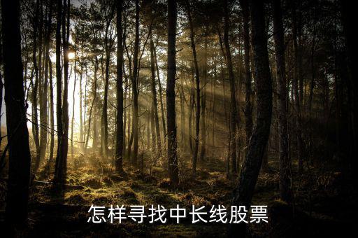 怎樣尋找中長(zhǎng)線(xiàn)股票