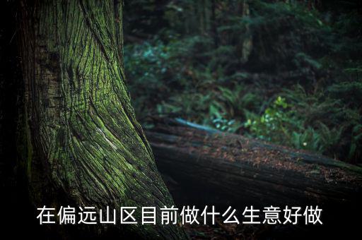 偏遠(yuǎn)城市做什么項目,可用5年。做什么項目好呢